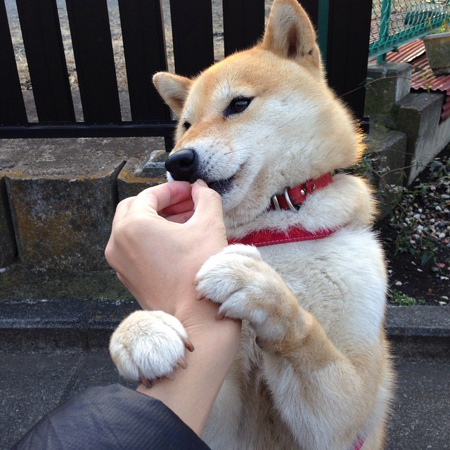 湖火燎原难抵一念神魔,爱德华兹绝命一击撕裂洛杉矶夜空