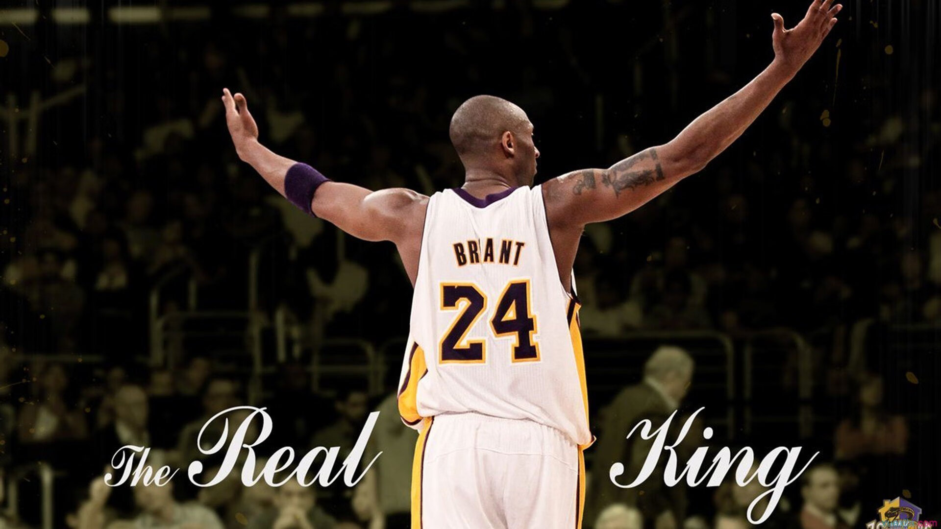 改写剧本的逆袭者!小贾伦临危受命,76人击溃猛龙的暗夜奇兵